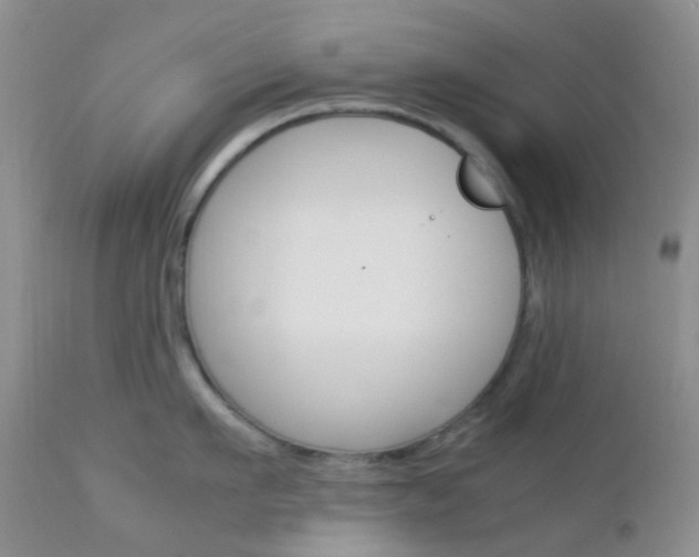 X0000113110911200908281014