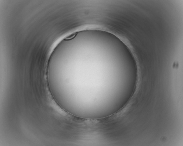 X0000113110912200908281014