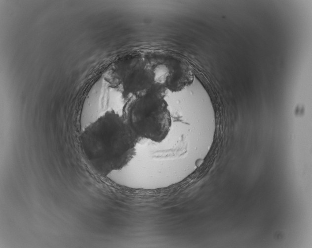 X0000113110913200908281013