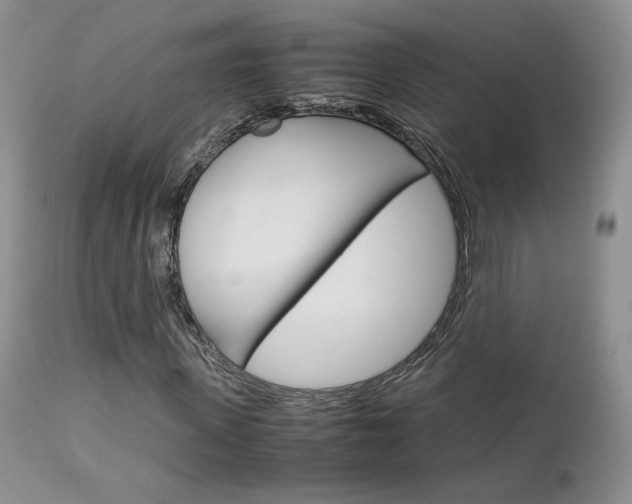 X0000113110915200908281013