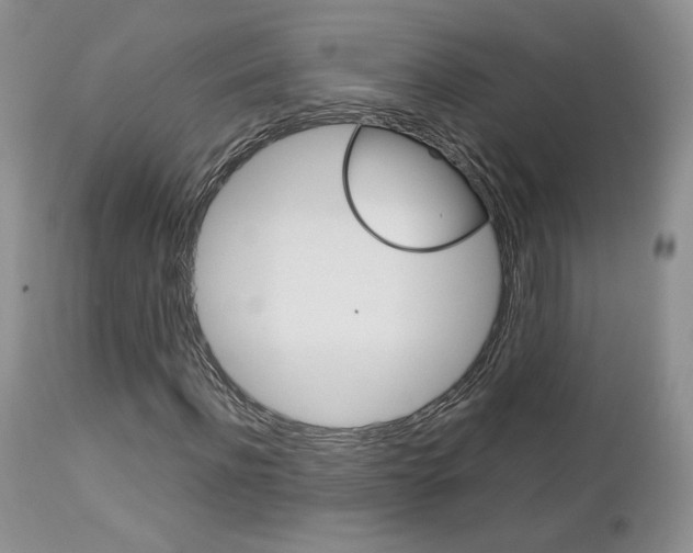 X0000113110916200908281013