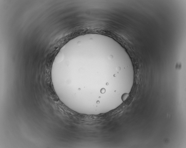 X0000113110917200908281013