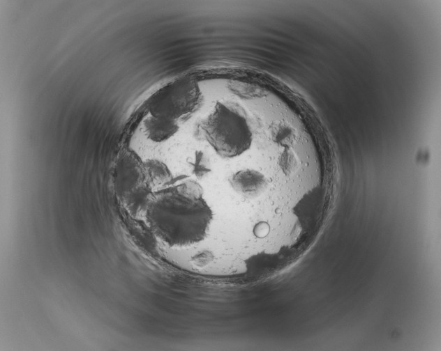 X0000113110921200908281013