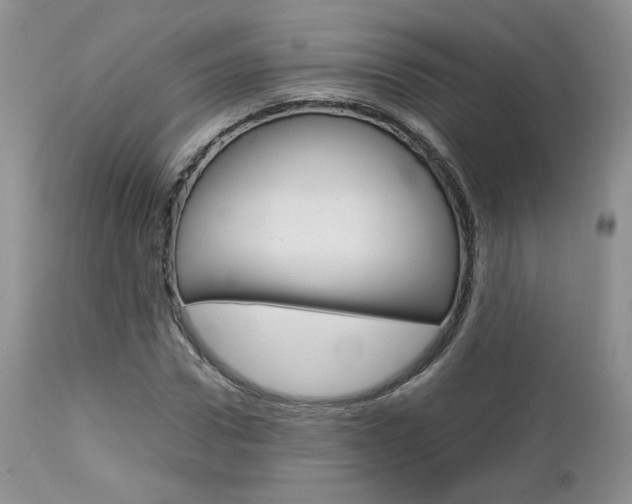 X0000113110922200908281013