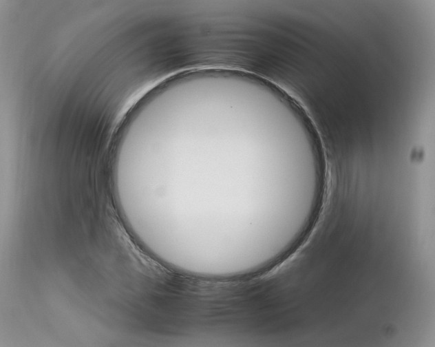 X0000113110925200908281014