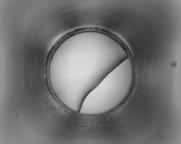 X0000113110927200908281014