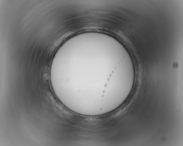X0000113110929200908281014