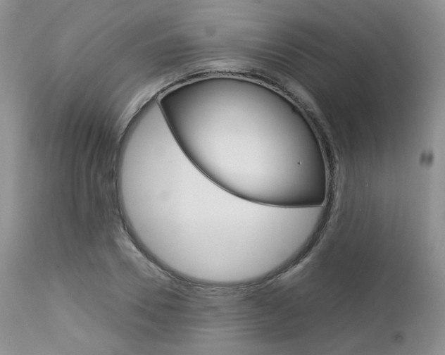 X0000113110930200908281014