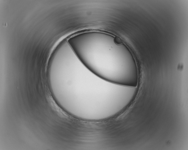 X0000113110932200908281014