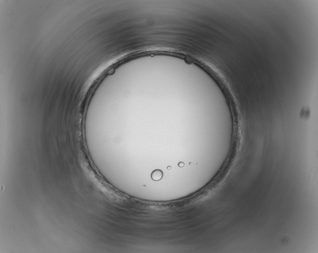 X0000113110933200908281014