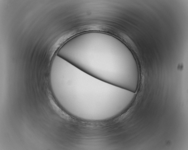 X0000113110938200908281014