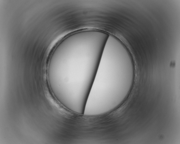 X0000113110939200908281014