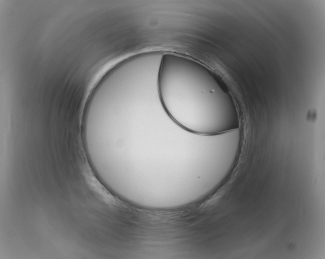 X0000113110940200908281014