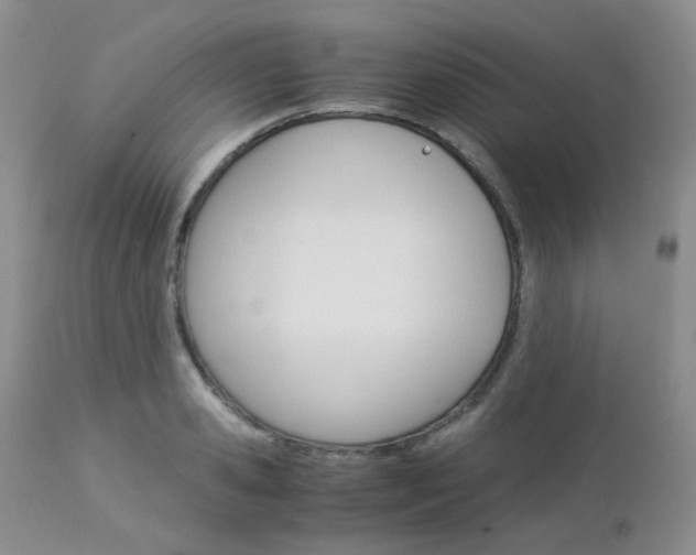 X0000113110941200908281014