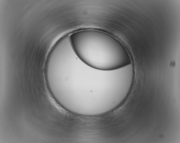 X0000113110942200908281014