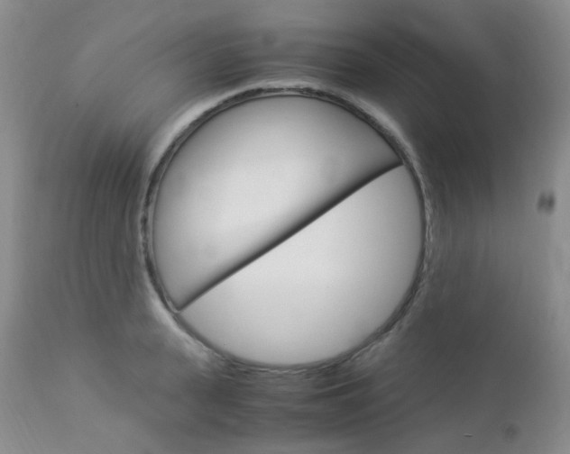 X0000113110943200908281014