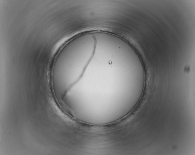 X0000113110944200908281014