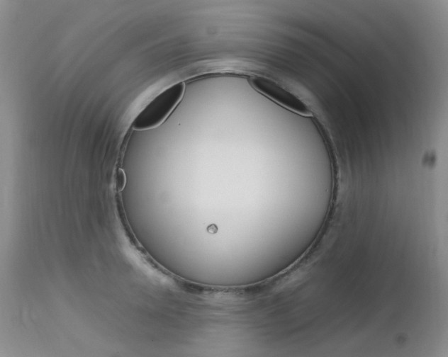 X0000113110946200908281014