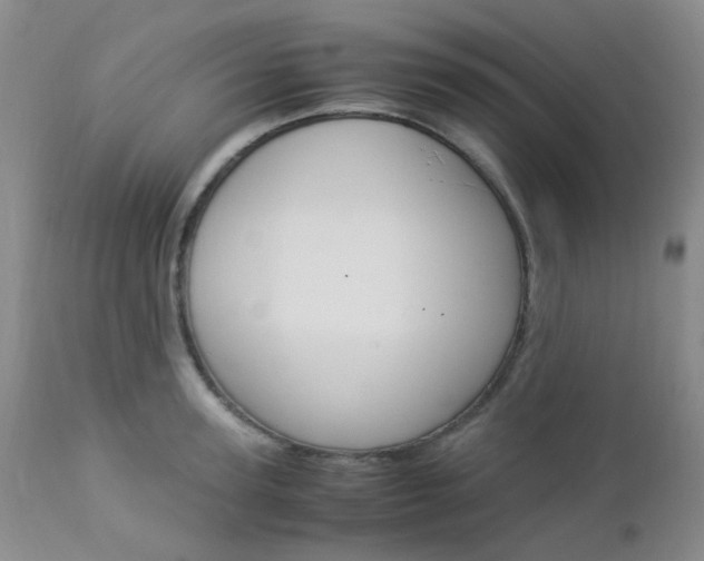 X0000113110947200908281014
