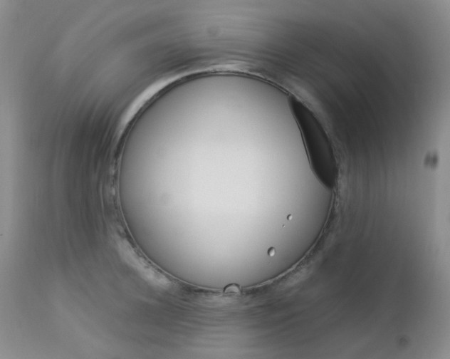 X0000113110948200908281014