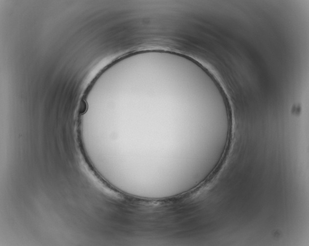 X0000113110949200908281014