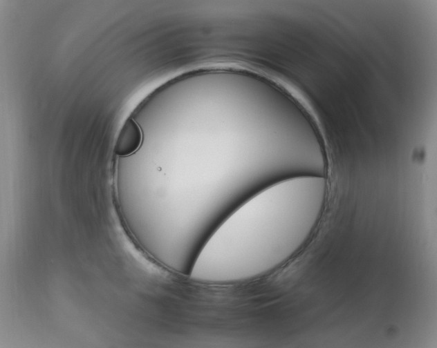 X0000113110951200908281014