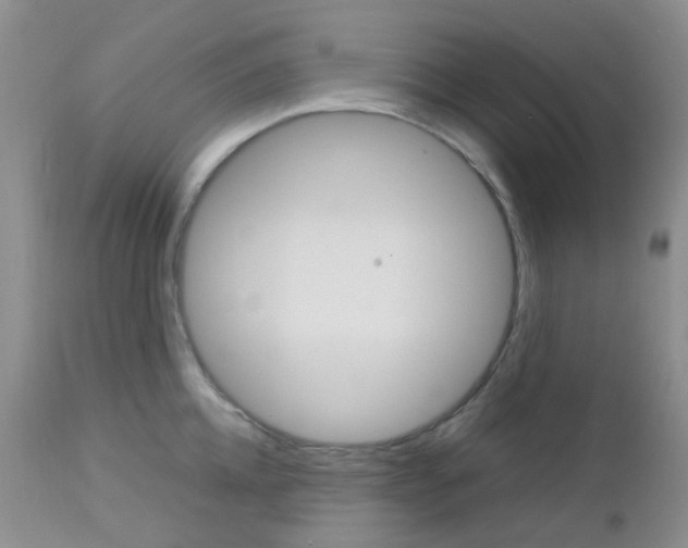 X0000113110952200908281014