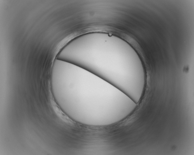 X0000113110954200908281014