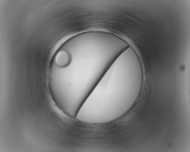 X0000113110955200908281014