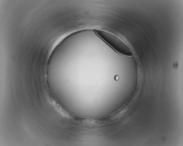 X0000113110956200908281014