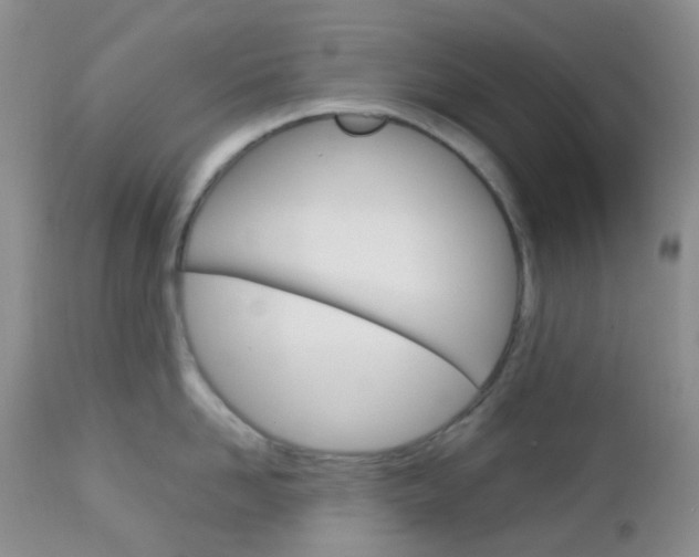 X0000113110958200908281014
