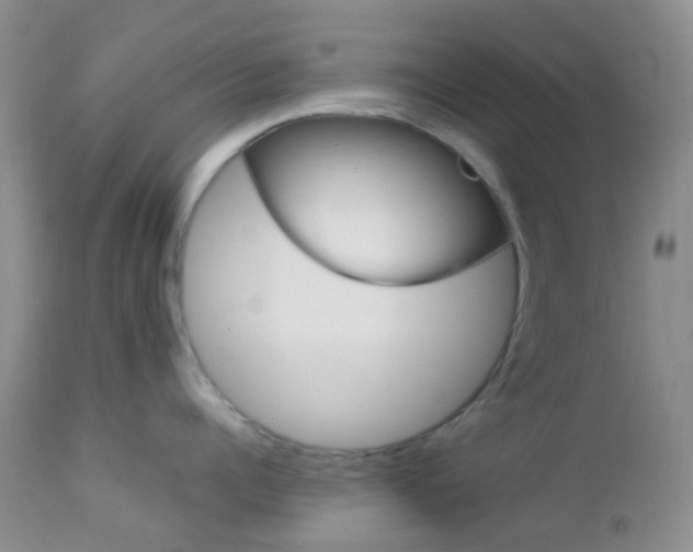 X0000113110960200908281014