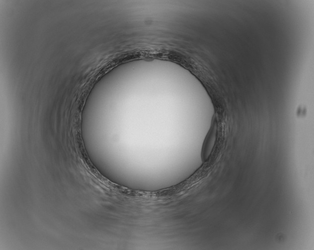 X0000113110961200908281013