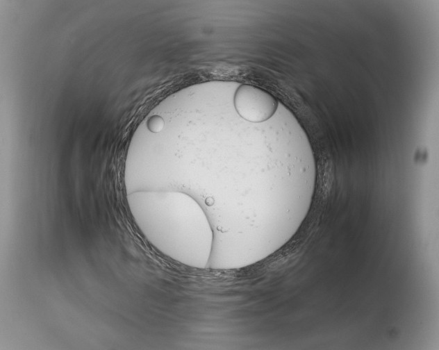 X0000113110962200908281013
