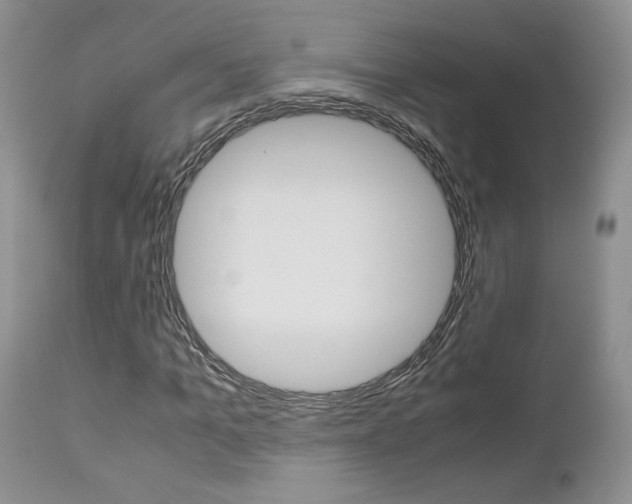 X0000113110965200908281013