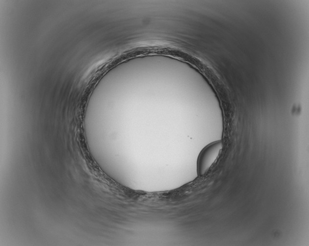 X0000113110967200908281013
