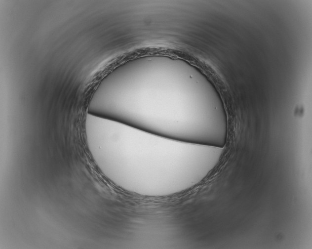 X0000113110968200908281013