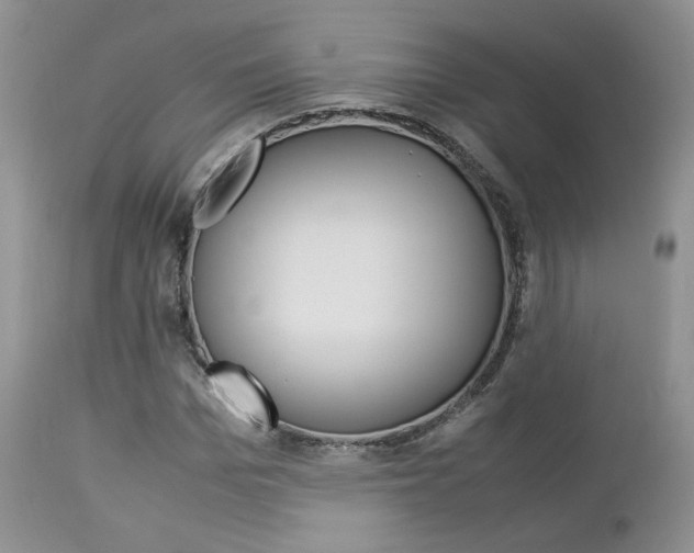 X0000113110969200908281013