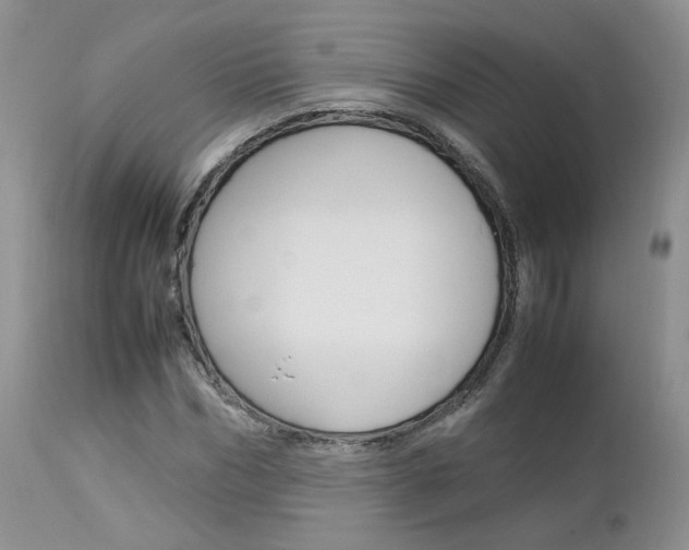 X0000113110970200908281013