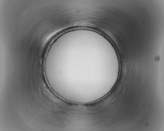 X0000113110971200908281013