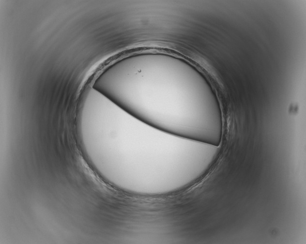 X0000113110972200908281013