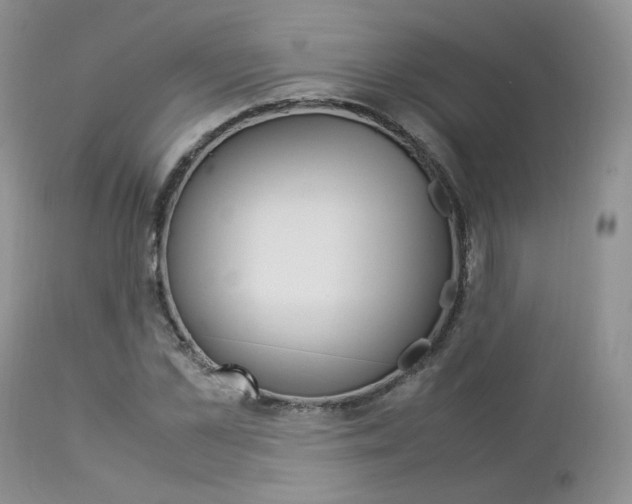 X0000113110973200908281013