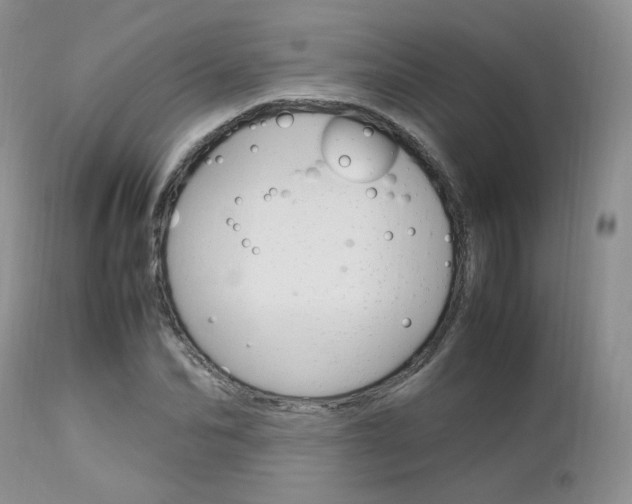 X0000113110974200908281013