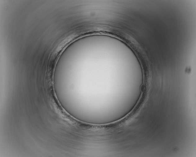 X0000113110977200908281013