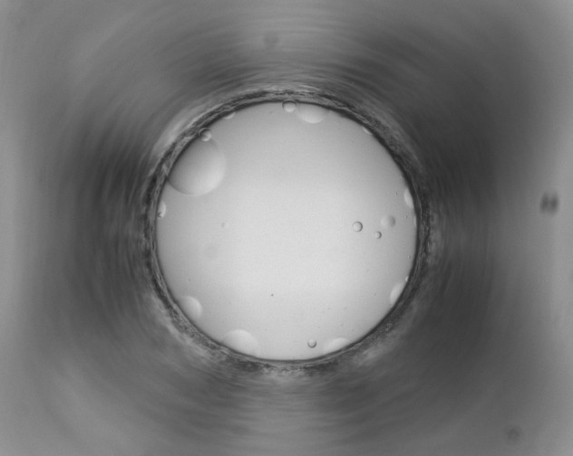 X0000113110978200908281013