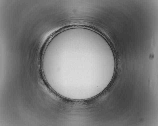 X0000113110979200908281013