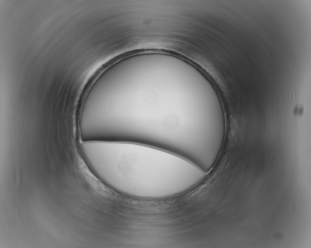 X0000113110980200908281013
