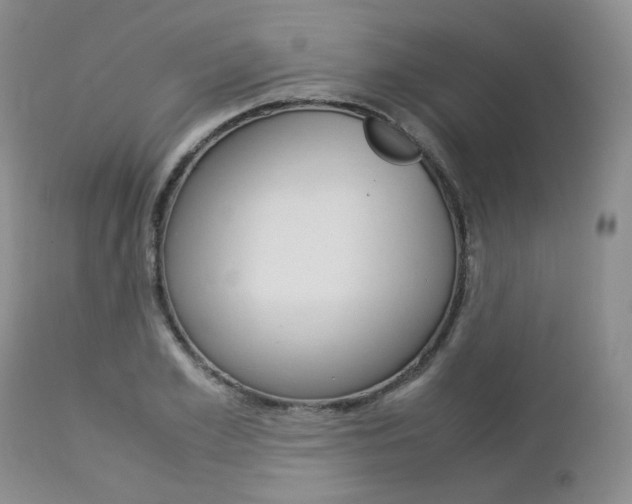 X0000113110981200908281013