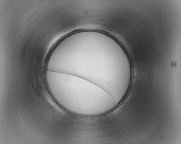 X0000113110982200908281013