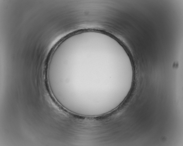 X0000113110983200908281013